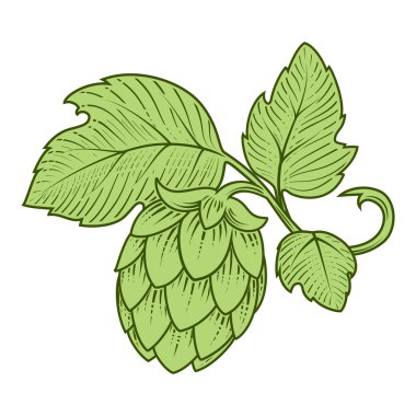 Atlama vektör çizim süsleme