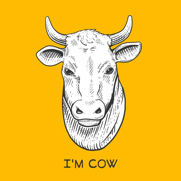 Αγελάδα κεφάλι Χαρακτική στυλ εικονογράφηση φορέας — Διανυσματικό Αρχείο