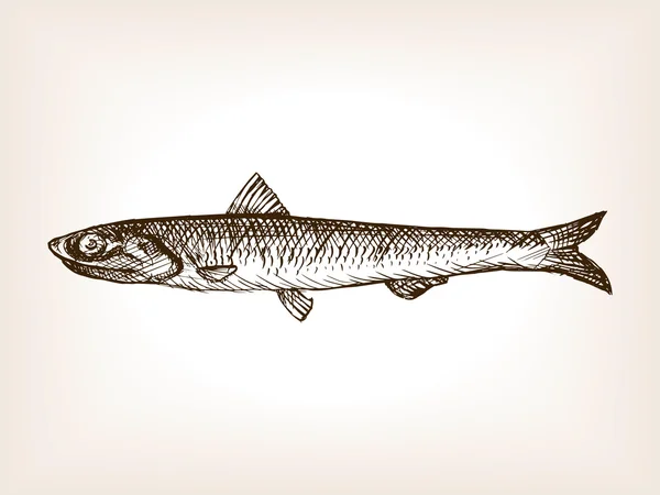 Ansjovis fisk skiss style vektor illustration — Stock vektor