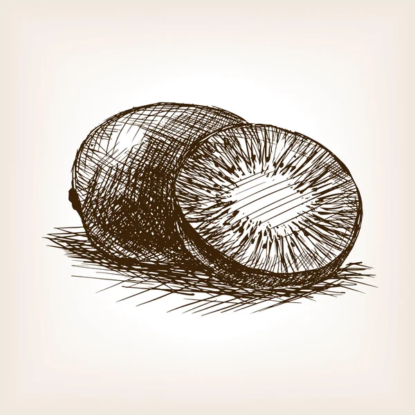 Kiwi fruit dessiné à la main vecteur de style croquis — Image vectorielle