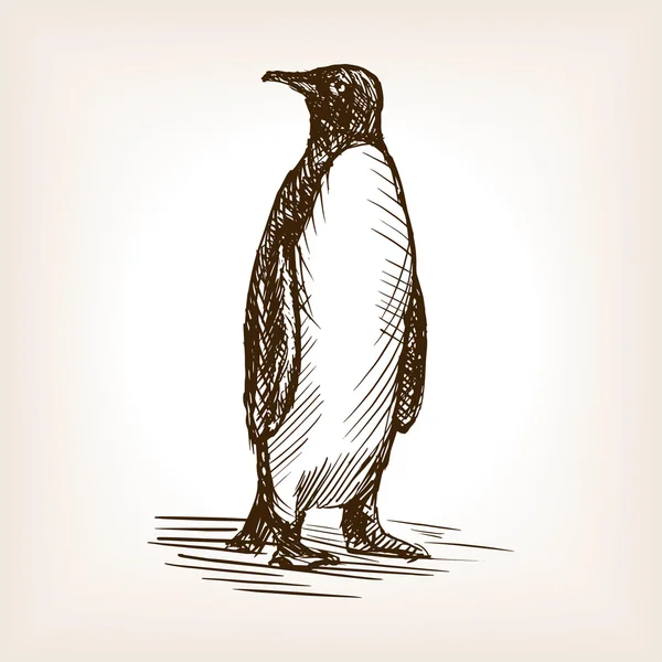 Illustration vectorielle de croquis de pingouin — Image vectorielle