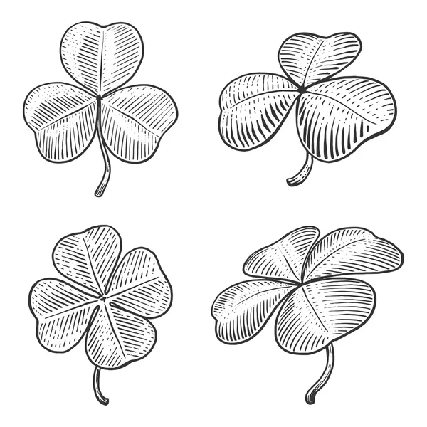 Clover leaf gravyr style vektor illustration — Stock vektor