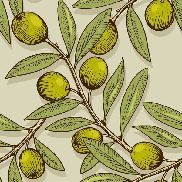 Olivenzweig Gravurstil nahtloser Vektor — Stockvektor