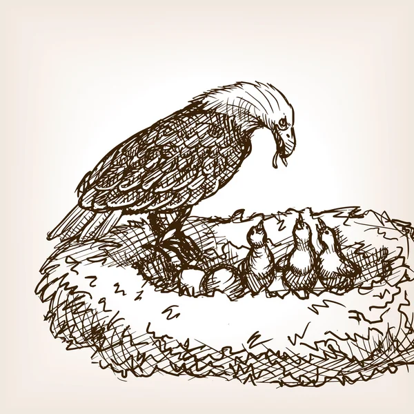 Eagle hrănire copil pasăre schiță vector ilustrare — Vector de stoc