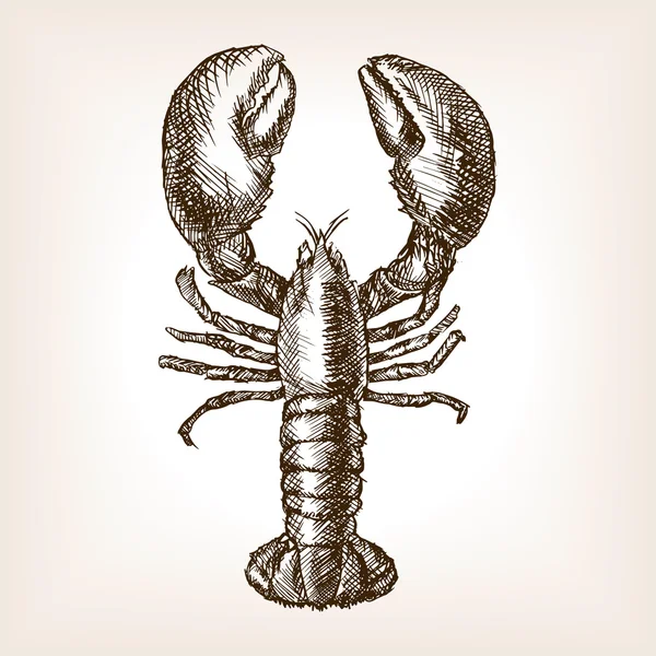 Homard dessin à la main vecteur de style croquis — Image vectorielle