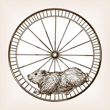 Hamster tekerlek elle çizilmiş kroki vektör