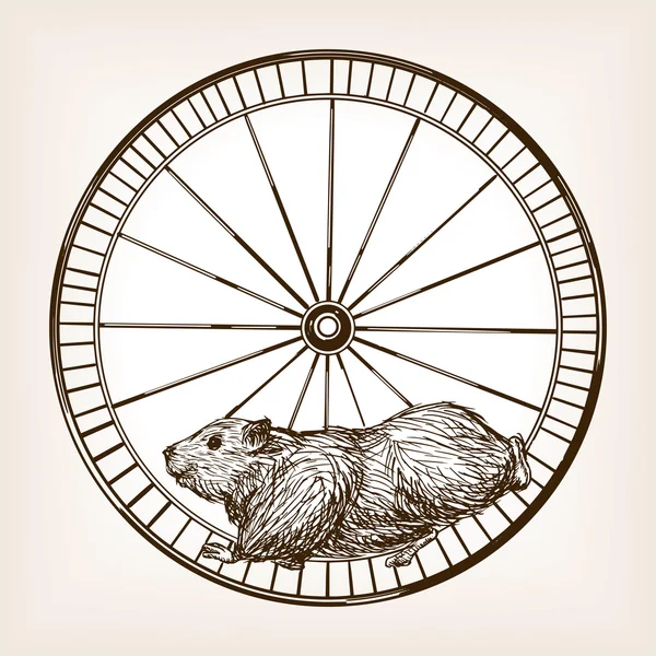 Hamster într-o roată mână desenată schiță vector — Vector de stoc