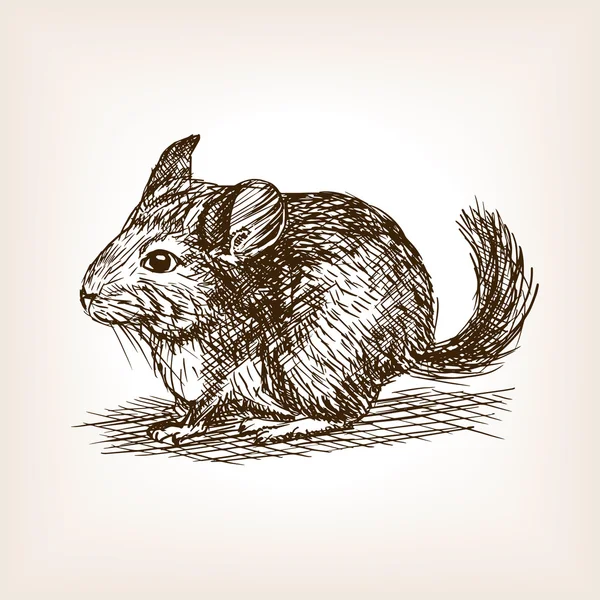 Шиншили собака ескіз Векторні ілюстрації — стоковий вектор