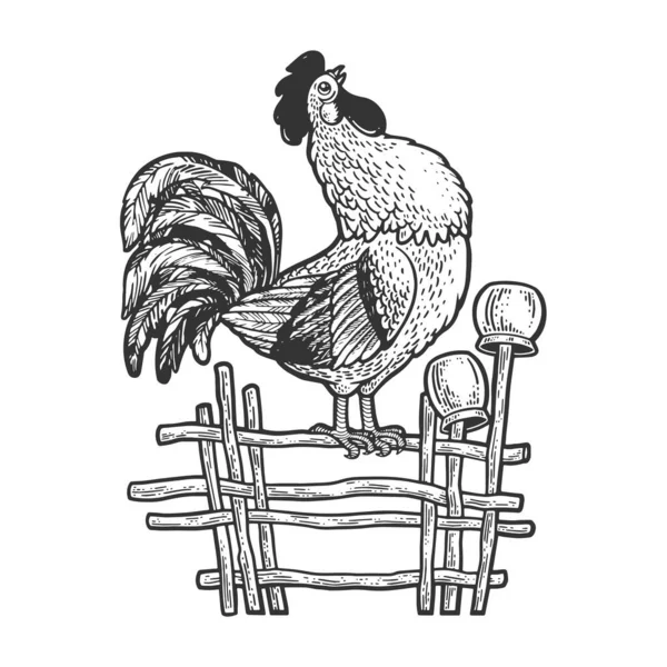 Gallo canta en el esbozo de la cerca ilustración vectorial grabado. Diseño de estampado de ropa de camiseta. Scratch board imitación. Imagen dibujada a mano en blanco y negro. — Archivo Imágenes Vectoriales