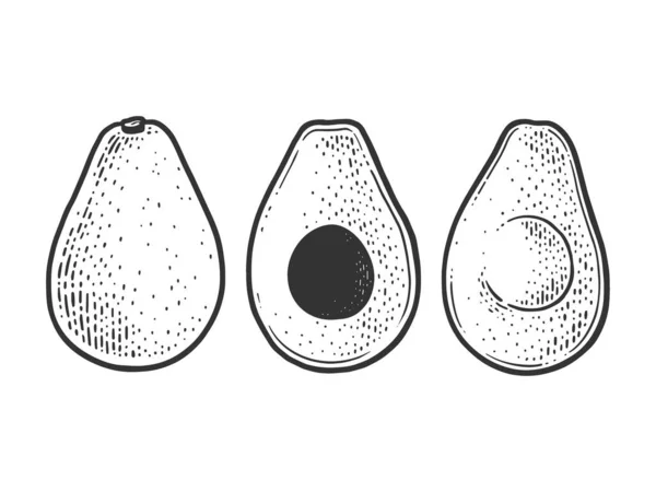 Avokado böğürtlenli sebze çizimi oyma vektör illüstrasyonunu kes. Tişört giysisi baskısı tasarımı. Çizik tahtası taklidi. Siyah beyaz el çizimi resim. — Stok Vektör