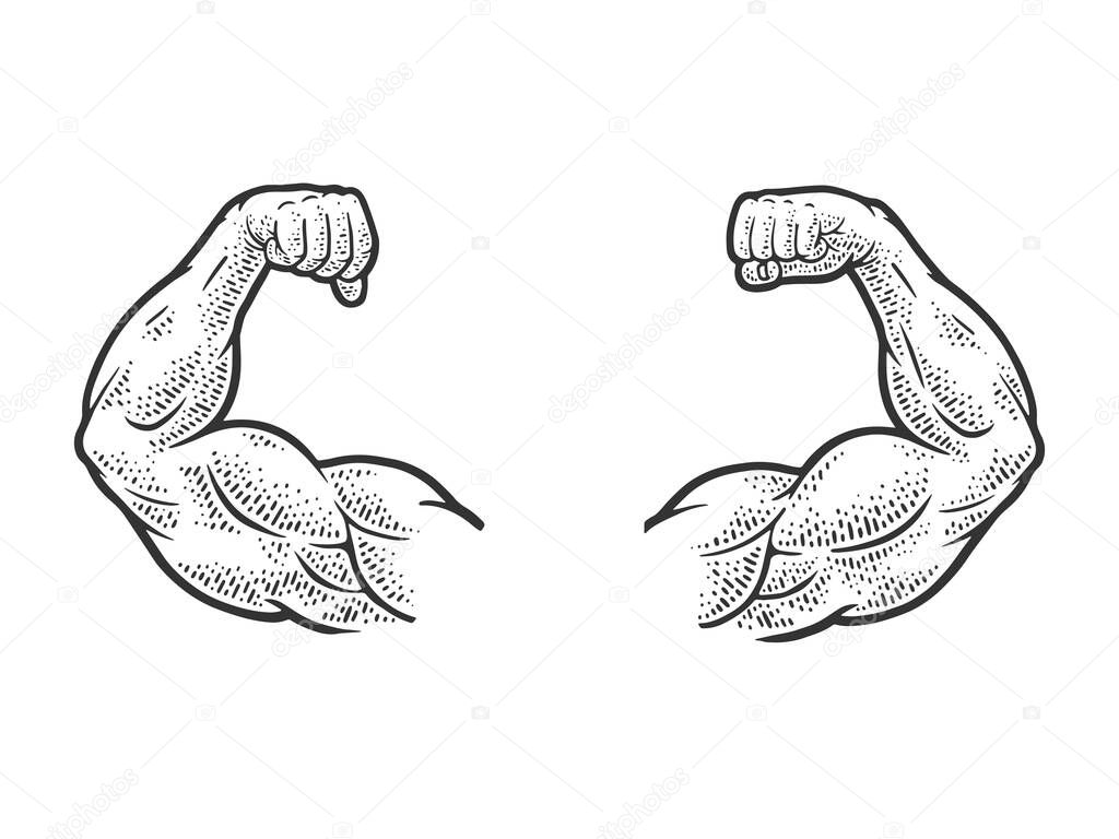 Muscular hands arms of strong man bodybuilder sketch engraving vector illustration. T-shirt apparel print design. Scratch board imitation. Black and white hand drawn image.