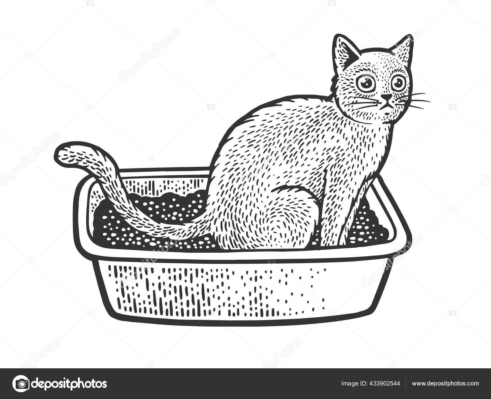 Katze sitzt auf Katzenstreu Box Skizze Gravur Vektor Illustration.  T-Shirt-Print-Design. Rubbelbrett-Imitat. Handgezeichnetes Schwarz-Weiß-Bild.  Stock-Vektorbild von ©AlexanderPokusay 433902544, image size:1600x1300