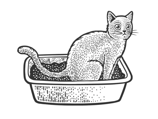 Gato sentar no gato caixa de areia esboço gravura vetor ilustração. T-shirt design de impressão de vestuário. Imitação de raspadinha. Imagem desenhada à mão preto e branco. — Vetor de Stock