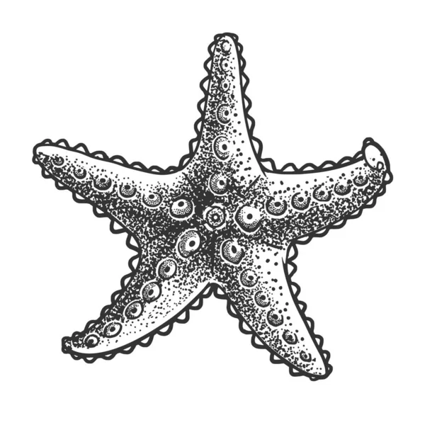 Starfish skiss gravyr vektor illustration. T-shirt kläder tryck design. Skrapbrädesimitation. Svart och vit handritad bild. — Stock vektor