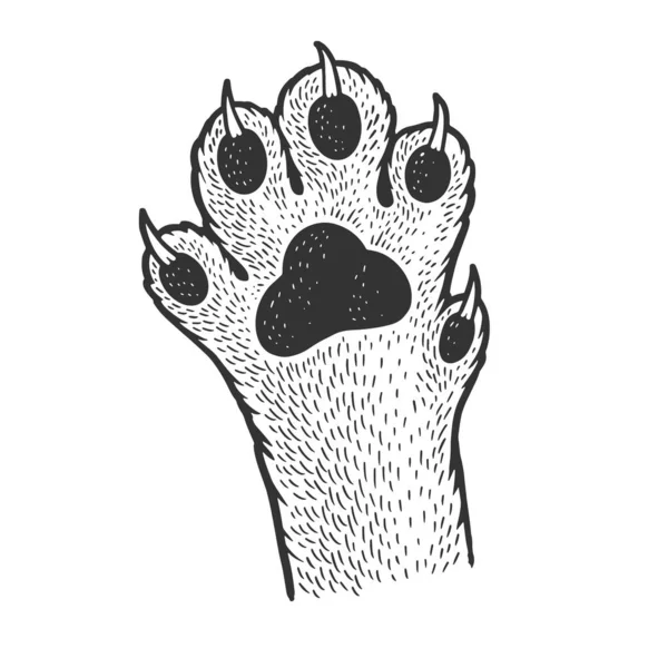 Katze Pfote Skizze Gravur Vektor Illustration. T-Shirt-Print-Design. Rubbelbrett-Imitat. Handgezeichnetes Schwarz-Weiß-Bild. — Stockvektor