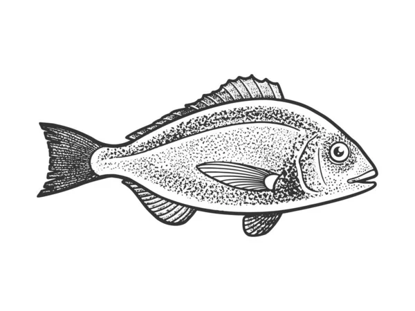 Gilt huvud braxen dorada fisk skiss gravyr vektor illustration. T-shirt kläder tryck design. Skrapbrädesimitation. Svart och vit handritad bild. — Stock vektor