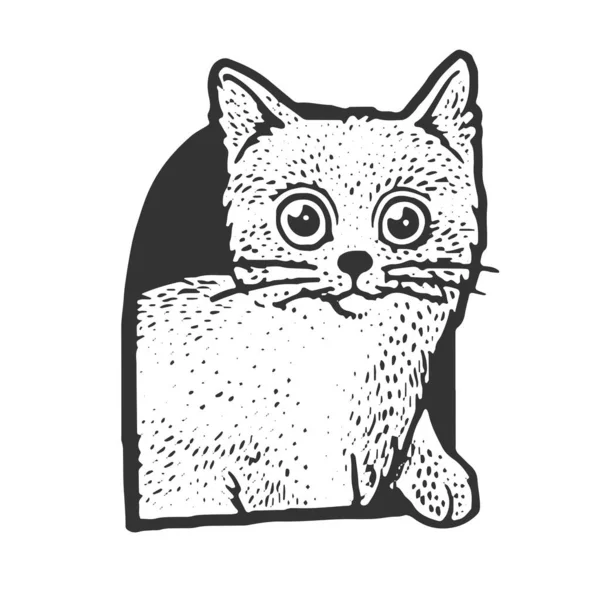 Katze im Katzenhaus Skizze Gravurvektorillustration. T-Shirt-Print-Design. Rubbelbrett-Imitat. Handgezeichnetes Schwarz-Weiß-Bild. — Stockvektor