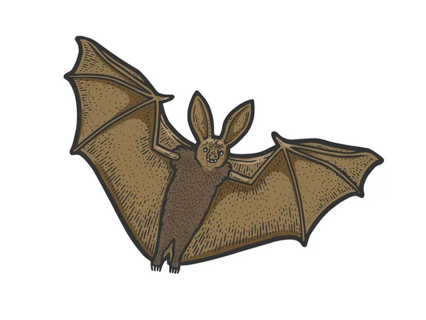 Murciélago volador croquis grabado vector ilustración. Diseño de estampado de ropa de camiseta. Scratch board imitación. Imagen dibujada a mano en blanco y negro. — Vector de stock