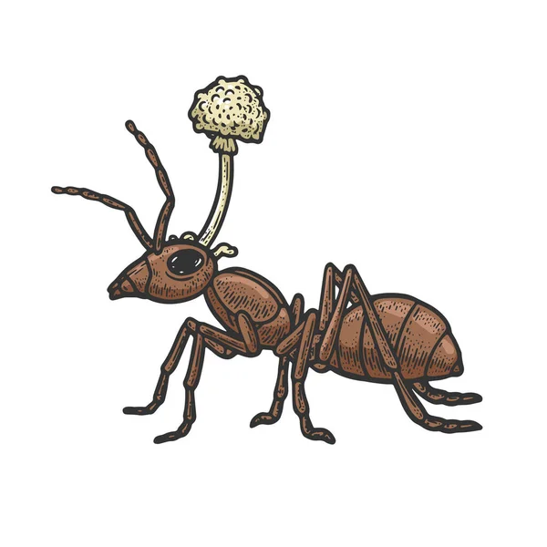 Zombie ant champignon croquis couleur gravure vectorielle illustration. T-shirt imprimé design. Imitation de carte à gratter. Image dessinée à la main noir et blanc. — Image vectorielle