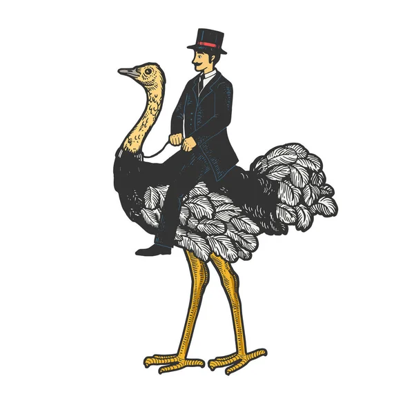 Старомодный джентльмен катается на страусином наброске с гравировкой векторной иллюстрации. Дизайн одежды для футболок. Имитация в стиле Scratch board. Черно-белое изображение. — стоковый вектор