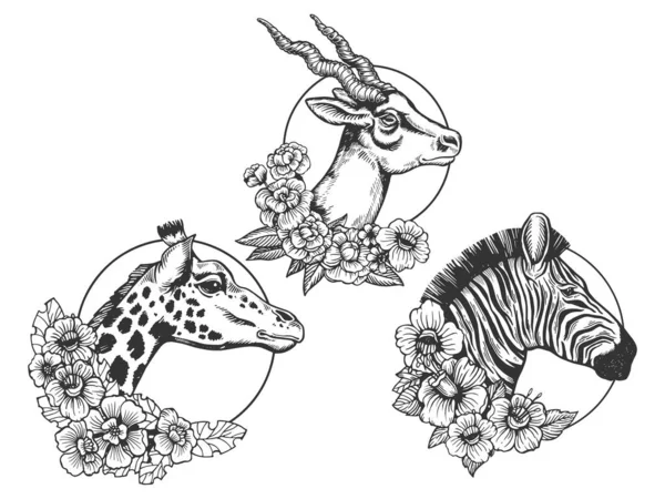 Antelope Zebra jirafa cabezas animal conjunto tatuaje con flores boceto grabado vector ilustración. Diseño de estampado de ropa de camiseta. Scratch board imitación. Imagen dibujada a mano en blanco y negro. — Archivo Imágenes Vectoriales