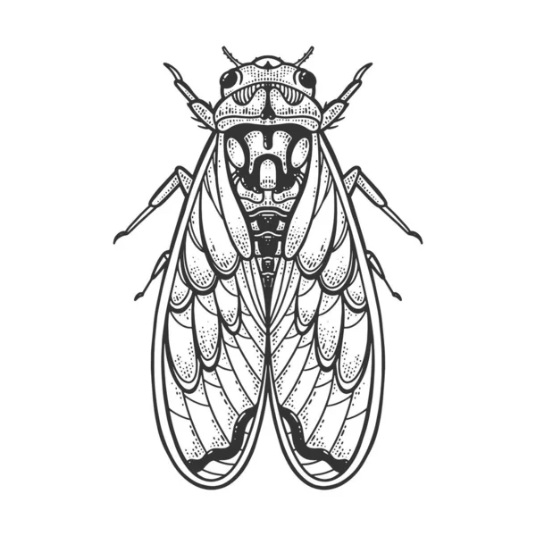 Cicadidae cicada rovar állat vázlat metszet vektor illusztráció. Póló mintás ruha. Karcolódeszka utánzat. Fekete-fehér kézzel rajzolt kép. — Stock Vector