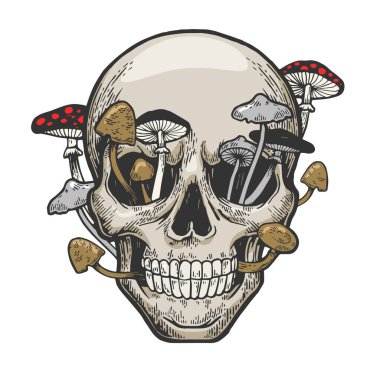 İnsan kafatası ve mantar filizlenmiş renk çizimi kabartma vektör çizimi. Tahta sitili taklit. El çizimi resim.