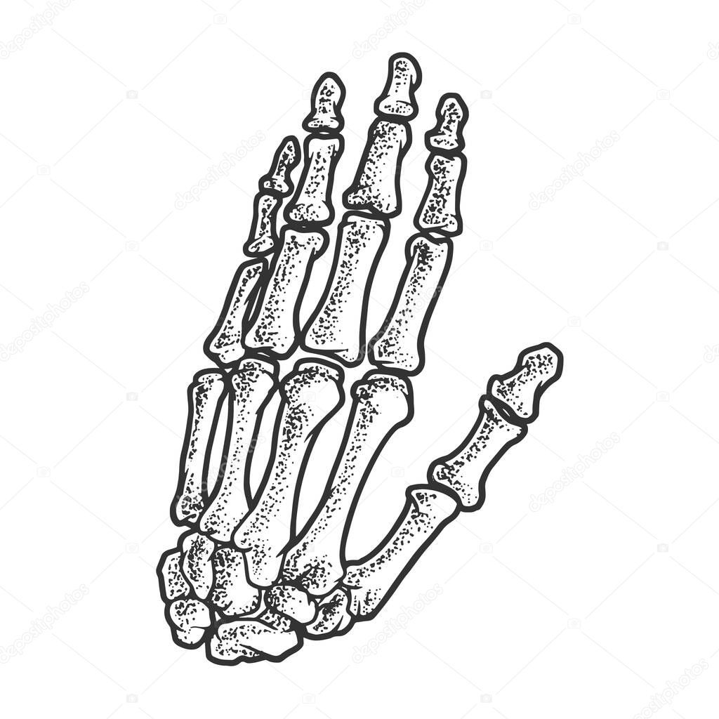 hand bones skeleton sketch engraving vector illustration. T-shirt apparel print design. Scratch board imitation. Black and white hand drawn image.