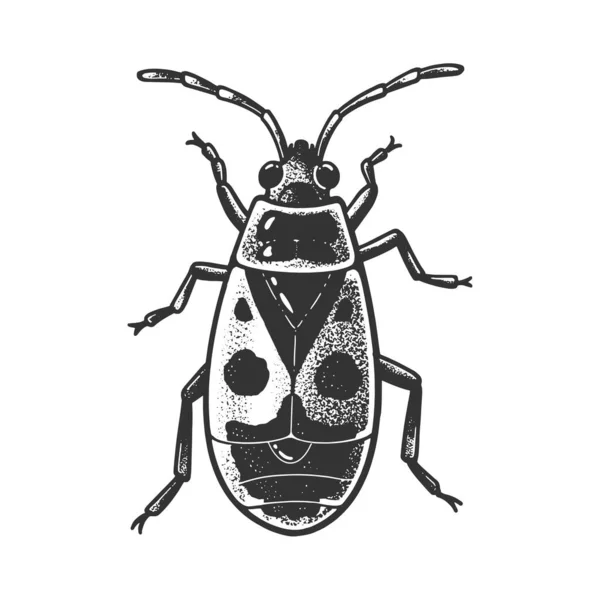 Firebug bille bug skitse gravering vektor illustration. T-shirt tøj print design. Efterligning af skrabelodder. Sort og hvid håndtegnet billede. – Stock-vektor