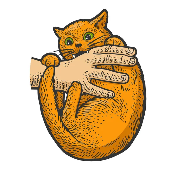 Cat bites hand color sketch engraving vector illustration. T-shirt apparel print design. Scratch board imitation. Black and white hand drawn image. — 图库矢量图片