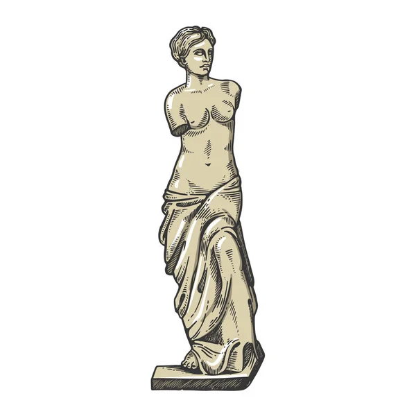 Afrodit antik heykel rengi çizimi oyma vektör çizimi. Tahta sitili taklit. Siyah beyaz el çizimi resim. — Stok Vektör