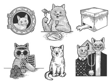 Kedi çizimi, kabartma vektör çizimi. Tişört giysisi baskısı tasarımı. Çizik tahtası taklidi. Siyah beyaz el çizimi resim.