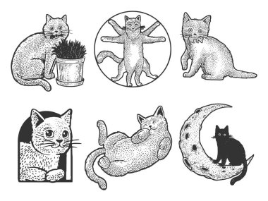 Cat set sketch engraving vector illustration. T-shirt apparel print design. Scratch board imitation. Black and white hand drawn image. clipart