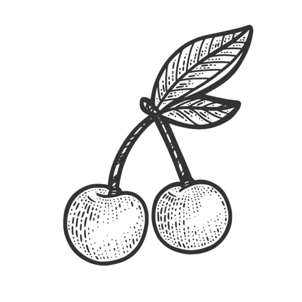 Doce cereja berry esboço gravura vetor ilustração. T-shirt design de impressão de vestuário. Imitação de raspadinha. Imagem desenhada à mão preto e branco. —  Vetores de Stock