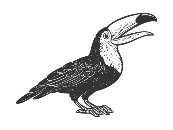 Toucan oiseau ligne art croquis gravure vectoriel illustration. T-shirt imprimé design. Imitation de carte à gratter. Image dessinée à la main noir et blanc. — Image vectorielle