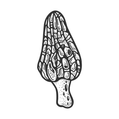 Morel mantar çizgisi çizimi, oyma vektör çizimi. Tişört giysisi baskısı tasarımı. Çizik tahtası taklidi. Siyah beyaz el çizimi resim.