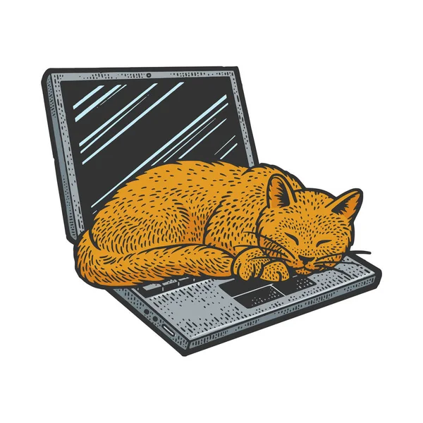 Gato durmiendo en el ordenador portátil línea de color arte boceto grabado vector ilustración. Diseño de estampado de ropa de camiseta. Scratch board imitación. Imagen dibujada a mano en blanco y negro. — Vector de stock