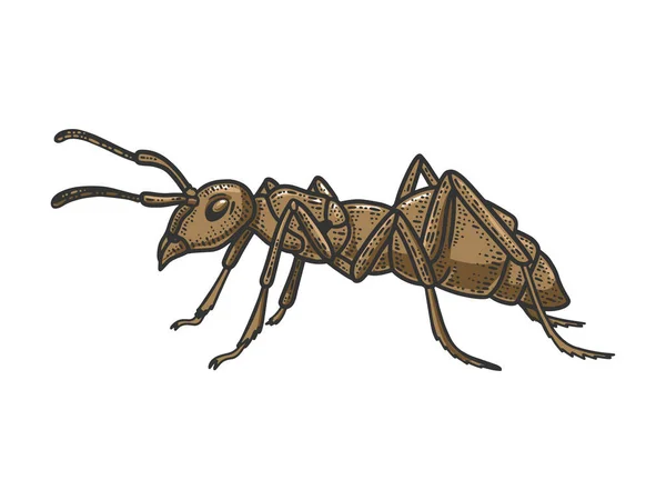 개미 곤충 (Ant insects sketbing color sketch line art engraving vector illustration) 은 벡터 일러스트이다. 티셔츠 의류 인쇄 디자인. 스크래치 보드 모방. 손으로 그린 흑백 그림. — 스톡 벡터