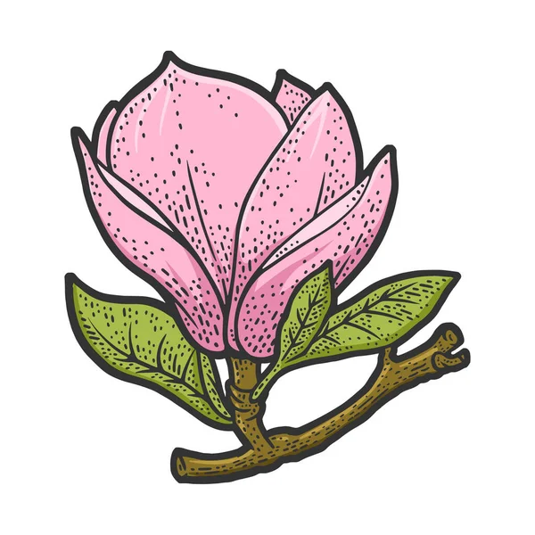 ( 영어 ) magnolia flower plant color line art sketbing vector illustration. 티셔츠 의류 인쇄 디자인. 스크래치 보드 모방. 손으로 그린 흑백 그림. — 스톡 벡터