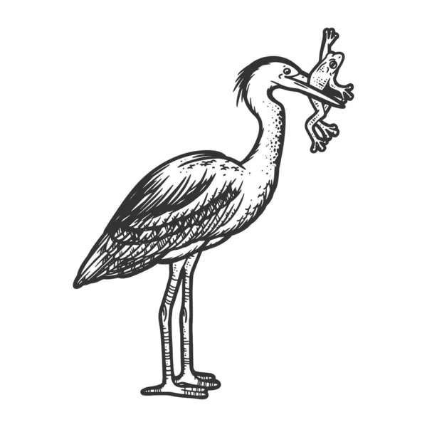 Balıkçıl kuş gagasında bir kurbağa olan sanat eskizi kabartma vektör çizimi. Tişört giysisi baskısı tasarımı. Çizik tahtası taklidi. Siyah beyaz el çizimi resim. — Stok Vektör
