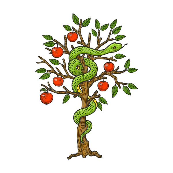Serpente biblico serpente su albero di mele linea di colore arte schizzo incisione vettoriale illustrazione. T-shirt abbigliamento design di stampa. Imitazione del gratta e Vinci. Immagine disegnata a mano in bianco e nero. — Vettoriale Stock