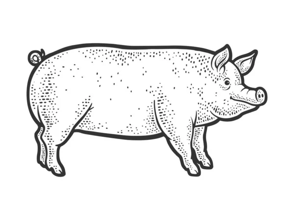 Gros porcelet de porc ligne art croquis gravure vectoriel illustration. T-shirt imprimé design. Imitation de carte à gratter. Image dessinée à la main noir et blanc. — Image vectorielle