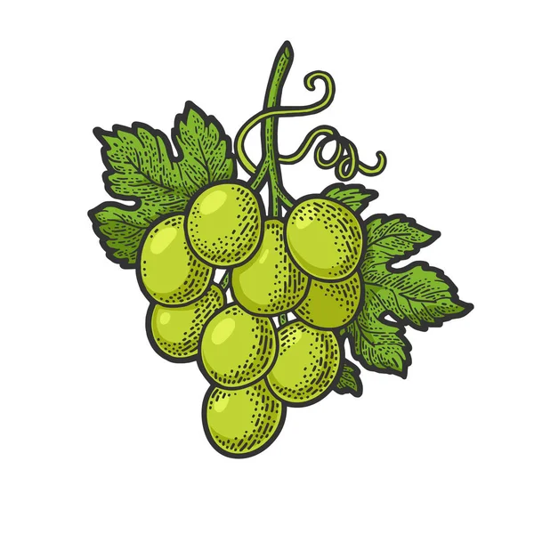 Pequeno bando de uvas cor linha arte esboço gravura vetor ilustração. T-shirt design de impressão de vestuário. Imitação de raspadinha. Imagem desenhada à mão preto e branco. — Vetor de Stock