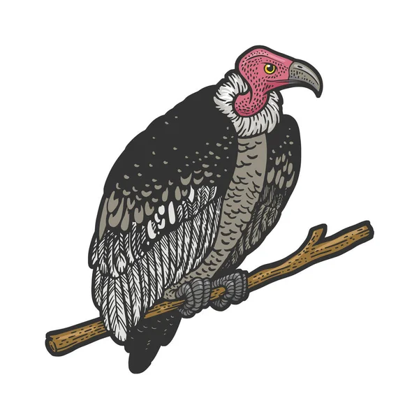 Buitre grifo pájaro color línea arte boceto grabado vector ilustración. Diseño de estampado de ropa de camiseta. Scratch board imitación. Imagen dibujada a mano en blanco y negro. — Vector de stock