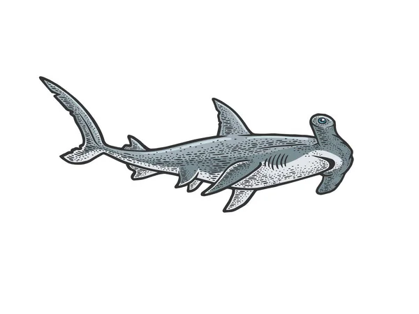 Hammerhead linha de tubarão arte cor esboço gravura vetor ilustração. T-shirt design de impressão de vestuário. Imitação de raspadinha. Imagem desenhada à mão preto e branco. — Vetor de Stock