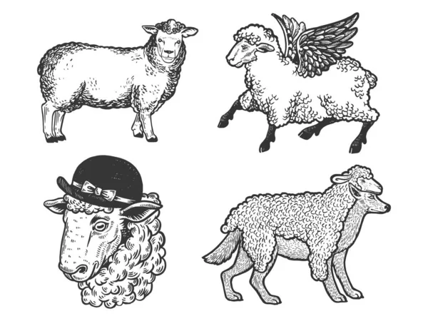 Owce gospodarstwo zwierząt zestaw linii sztuki szkic grawerowanie wektor ilustracji. Projekt druku odzieży T-shirt. Imitacja deski do drapania. Czarno-biały ręcznie rysowany obraz. — Wektor stockowy