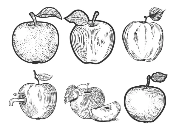Apple fruit set line art croquis gravure vectorielle illustration. T-shirt imprimé design. Imitation de carte à gratter. Image dessinée à la main noir et blanc. — Image vectorielle