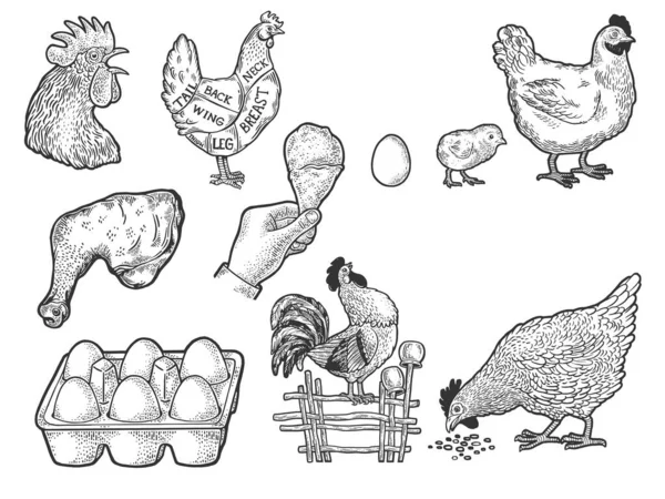 Ovos de galinha de frango e linha de carne set arte esboço gravura vetor ilustração. T-shirt design de impressão de vestuário. Imitação de raspadinha. Imagem desenhada à mão preto e branco. — Vetor de Stock