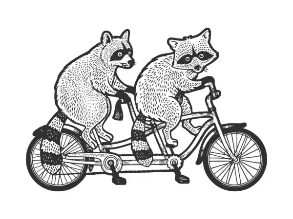 Raccoons ride tandem bike sketch engraving vector illustration. T-shirt apparel print design. Scratch board imitation. Black and white hand drawn image. — Wektor stockowy