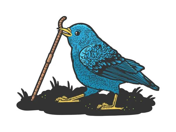 El pájaro azul saca al gusano de la ilustración del vector de grabado del boceto del color de la tierra. Diseño de estampado de ropa de camiseta. Scratch board imitación. Imagen dibujada a mano en blanco y negro. — Vector de stock